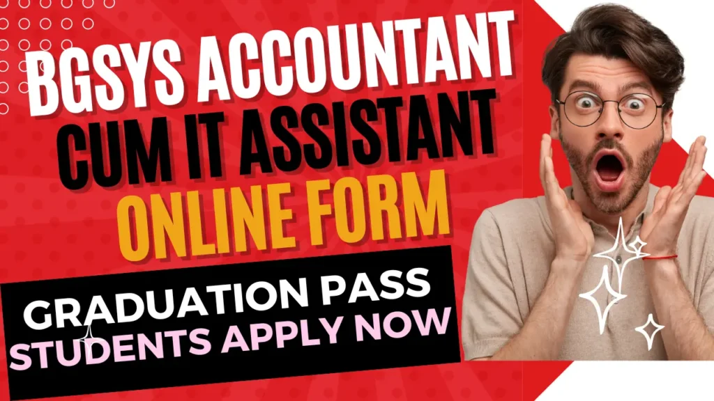 BGSYS Accountant cum IT Assistant Online Form